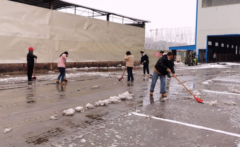 大雪纷飞至  员工扫雪忙